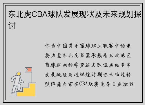 东北虎CBA球队发展现状及未来规划探讨
